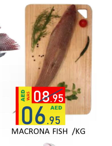available at رويال جلف هايبرماركت in الإمارات العربية المتحدة , الامارات - أبو ظبي