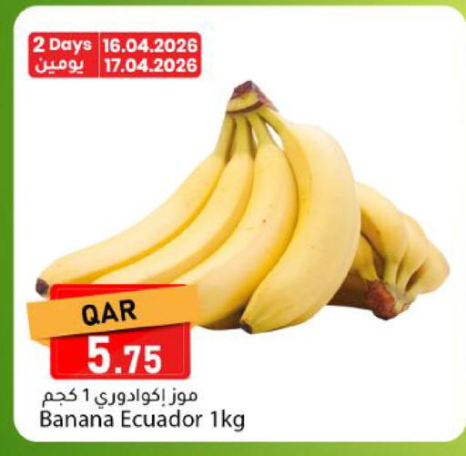 Banana from Ecuador available at Dana Market in Qatar - Al Rayyan