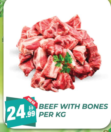 available at Dream Land in UAE - Dubai