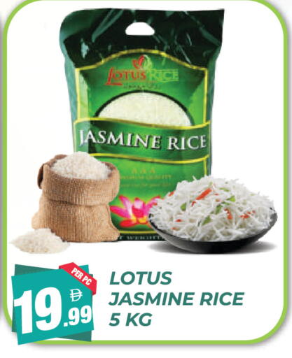 available at دريم لاند in الإمارات العربية المتحدة , الامارات - دبي