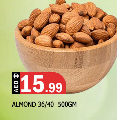 available at المدينة in الإمارات العربية المتحدة , الامارات - الشارقة / عجمان