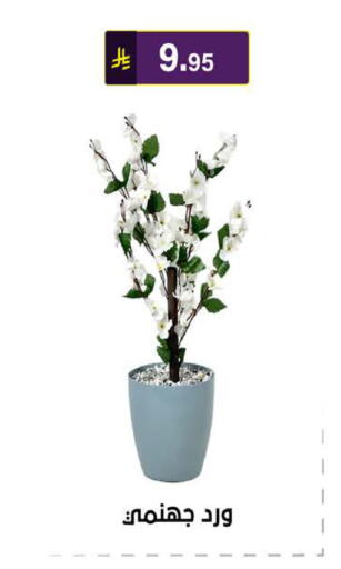 available at الحسين توب أب in مملكة العربية السعودية, السعودية, سعودية - الرياض