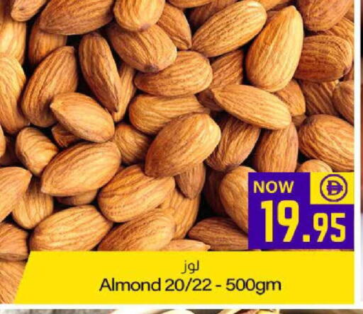 available at Meem Sajidha in UAE - Fujairah