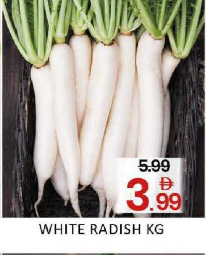 Radish available at المدينة in الإمارات العربية المتحدة , الامارات - دبي