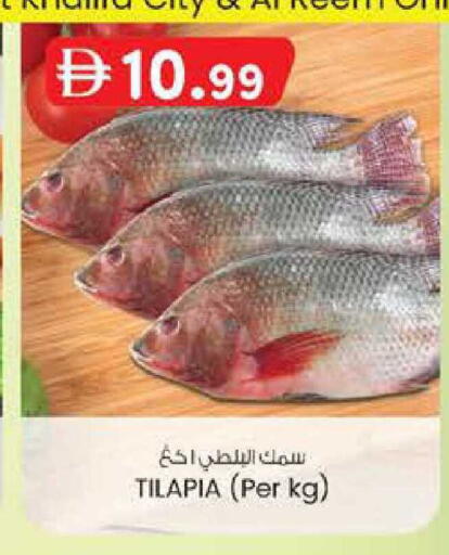 available at صفا اكسبريس سوبرماركت in الإمارات العربية المتحدة , الامارات - أبو ظبي