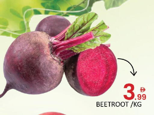 Beetroot available at المدينة in الإمارات العربية المتحدة , الامارات - دبي