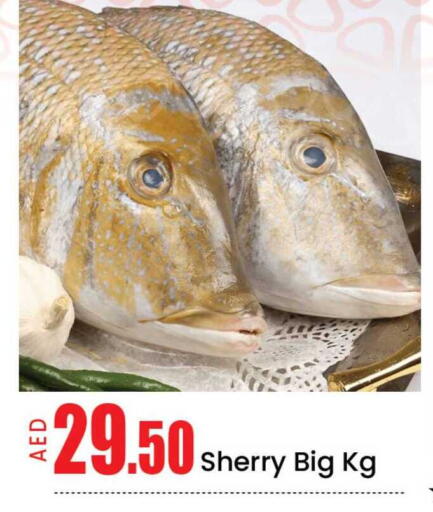 Mango available at مانجو هايبرماركت in الإمارات العربية المتحدة , الامارات - دبي