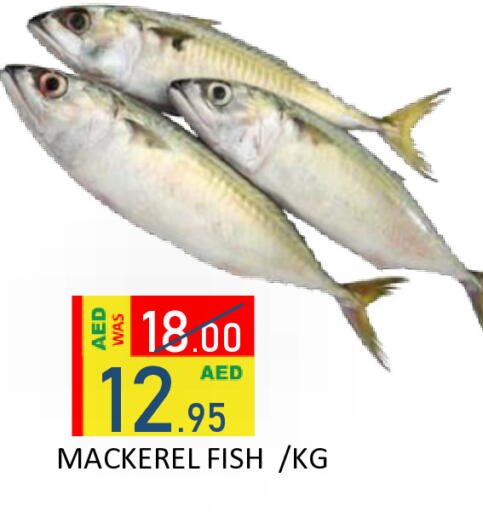 available at رويال جلف هايبرماركت in الإمارات العربية المتحدة , الامارات - أبو ظبي