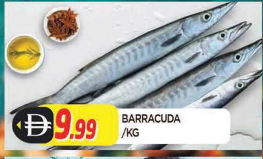 available at المدينة in الإمارات العربية المتحدة , الامارات - الشارقة / عجمان