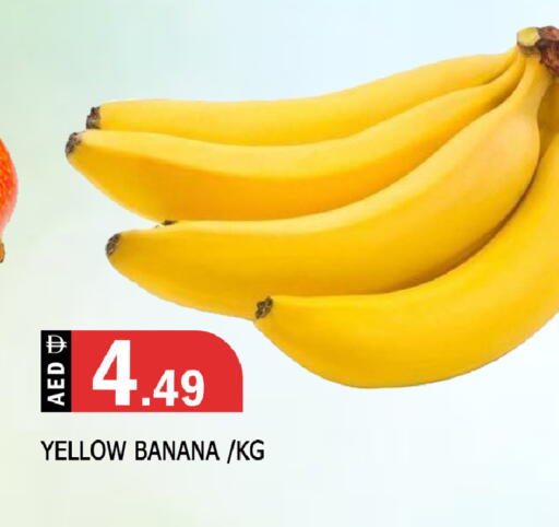 Banana available at المدينة in الإمارات العربية المتحدة , الامارات - الشارقة / عجمان