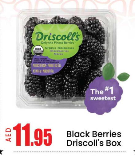 Mango available at مانجو هايبرماركت in الإمارات العربية المتحدة , الامارات - دبي