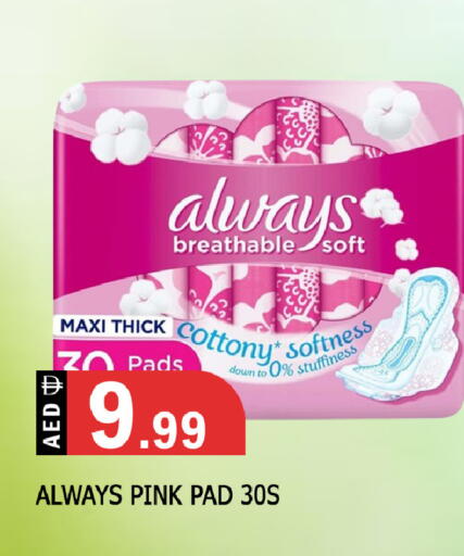 available at المدينة in الإمارات العربية المتحدة , الامارات - الشارقة / عجمان