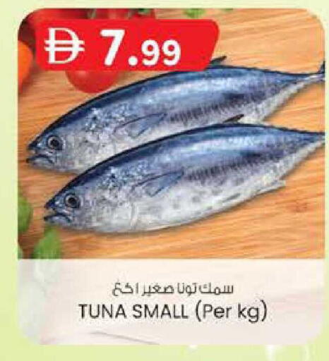 available at K M Trading  in UAE - Dubai