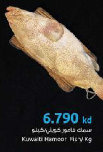 available at The Sultan Center in Kuwait - Kuwait City