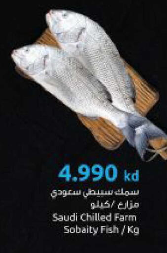 available at The Sultan Center in Kuwait - Kuwait City