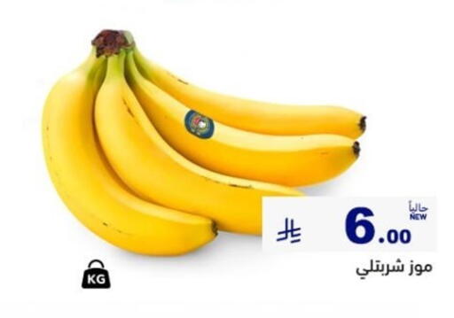 available at أسواق رامز in مملكة العربية السعودية, السعودية, سعودية - المنطقة الشرقية