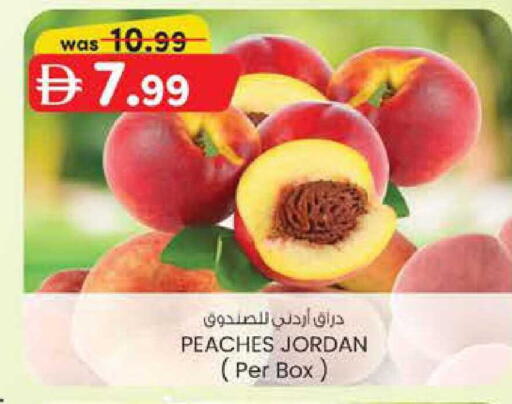 from Jordan available at ك. الم. للتجارة in الإمارات العربية المتحدة , الامارات - دبي