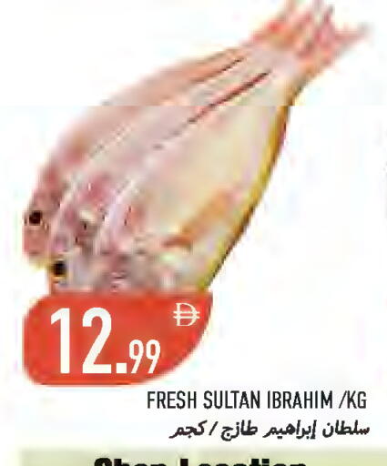 available at  روابي ماركت عجمان in الإمارات العربية المتحدة , الامارات - الشارقة / عجمان