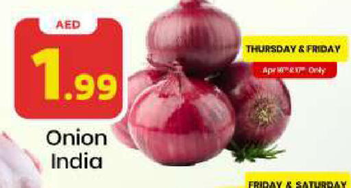 Onion from India available at Mark & Save in UAE - Sharjah / Ajman