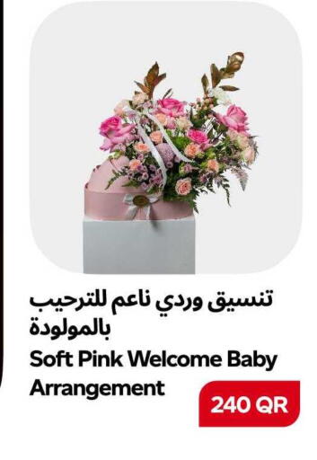 available at سنومارت in قطر - الشمال