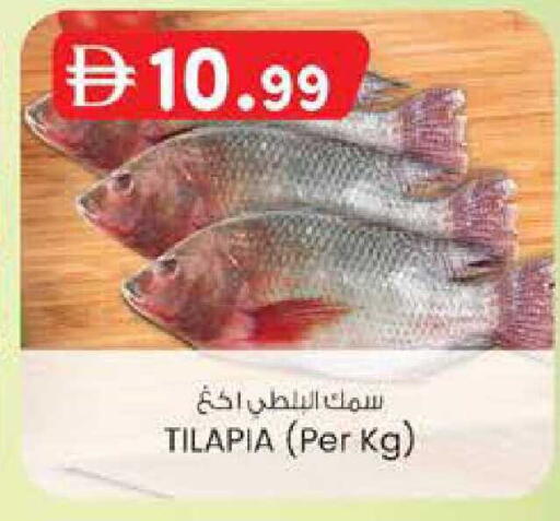 available at ك. الم. للتجارة in الإمارات العربية المتحدة , الامارات - ٱلْفُجَيْرَة‎