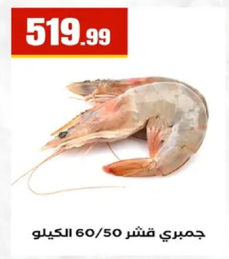 available at مارت فيل in Egypt - القاهرة