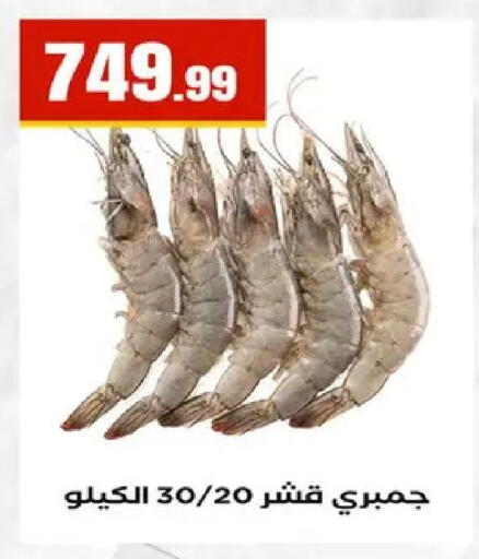 available at مارت فيل in Egypt - القاهرة