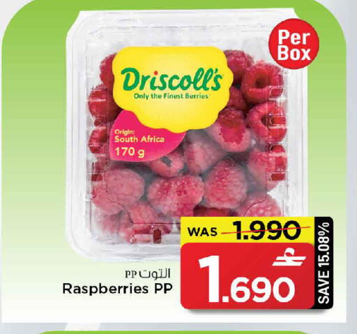 from South Africa available at مارك & سايف in عُمان - مسقط‎