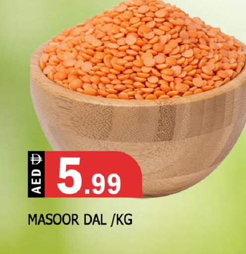 available at المدينة in الإمارات العربية المتحدة , الامارات - الشارقة / عجمان