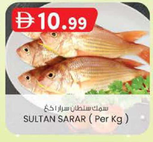 available at ك. الم. للتجارة in الإمارات العربية المتحدة , الامارات - ٱلْفُجَيْرَة‎