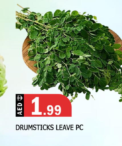 available at المدينة in الإمارات العربية المتحدة , الامارات - الشارقة / عجمان