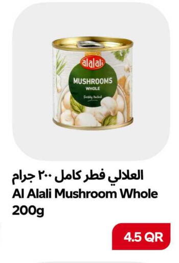 Mushroom available at سنومارت in قطر - الشمال