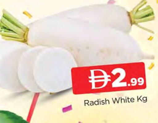 Radish available at المدينة in الإمارات العربية المتحدة , الامارات - الشارقة / عجمان