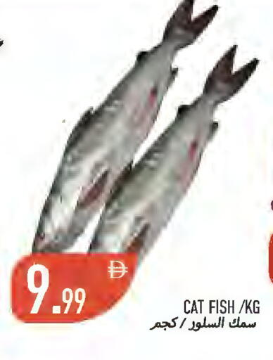 available at  روابي ماركت عجمان in الإمارات العربية المتحدة , الامارات - الشارقة / عجمان