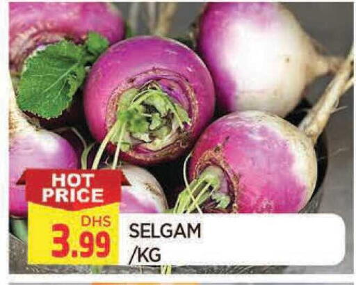 available at المدينة in الإمارات العربية المتحدة , الامارات - الشارقة / عجمان