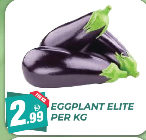 Eggplant available at Dream Land in UAE - Dubai