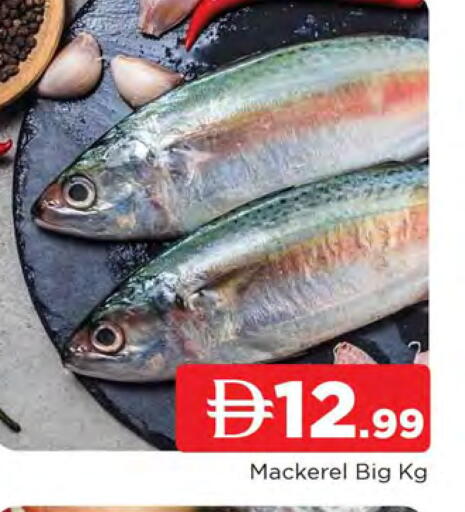 available at المدينة in الإمارات العربية المتحدة , الامارات - الشارقة / عجمان