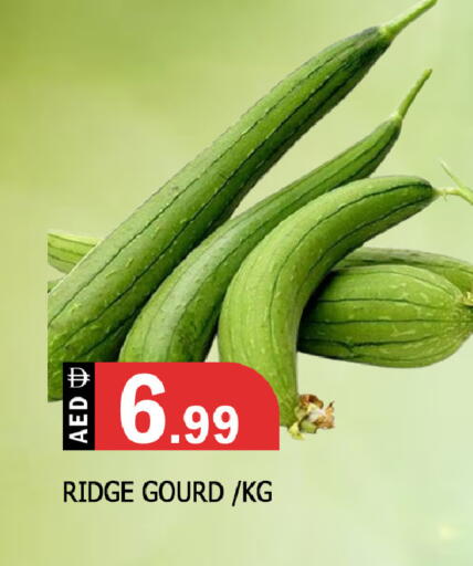 available at المدينة in الإمارات العربية المتحدة , الامارات - الشارقة / عجمان