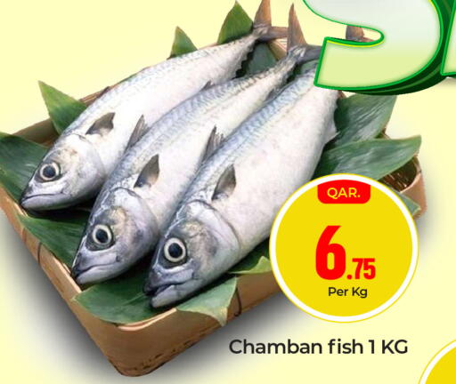 available at باريس هايبرماركت in قطر - الريان