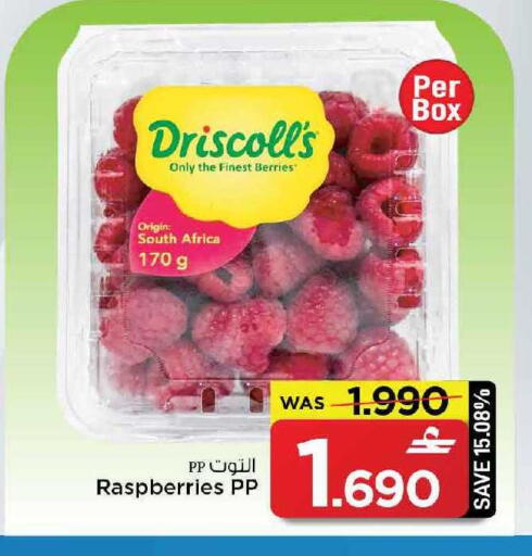 from South Africa available at مارك & سايف in عُمان - مسقط‎