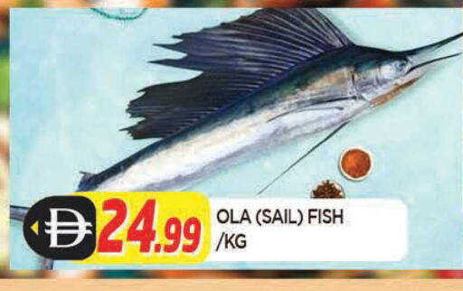 available at المدينة in الإمارات العربية المتحدة , الامارات - الشارقة / عجمان