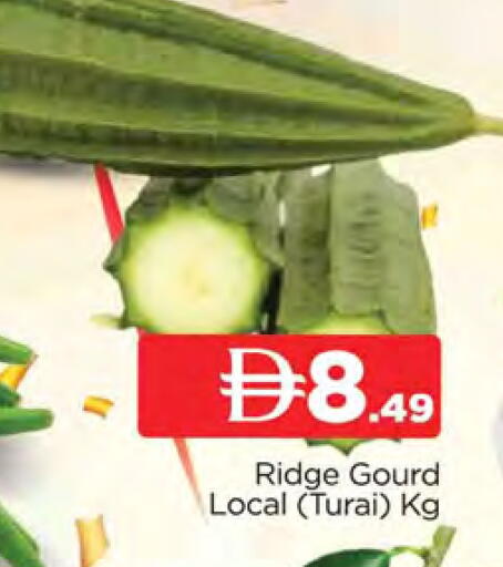 available at المدينة in الإمارات العربية المتحدة , الامارات - الشارقة / عجمان