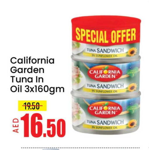 Mango available at Mango Hypermarket LLC in UAE - Dubai