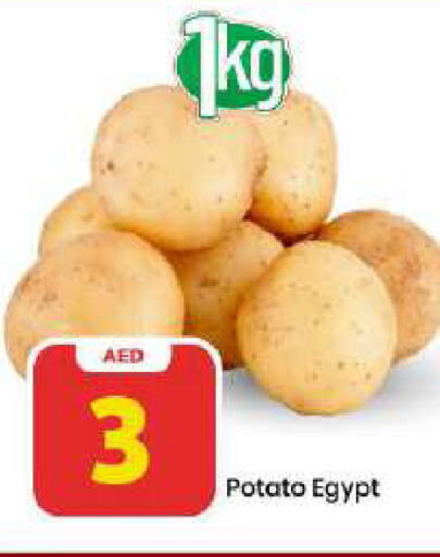 Potato from Egypt available at مارك & سيف in الإمارات العربية المتحدة , الامارات - دبي