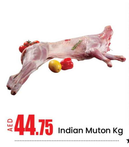 Mango available at مانجو هايبرماركت in الإمارات العربية المتحدة , الامارات - دبي