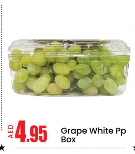 Mango available at مانجو هايبرماركت in الإمارات العربية المتحدة , الامارات - دبي