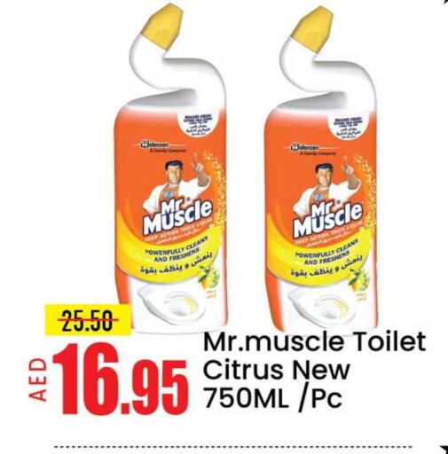 Mango available at مانجو هايبرماركت in الإمارات العربية المتحدة , الامارات - دبي