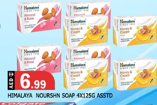 available at المدينة in الإمارات العربية المتحدة , الامارات - الشارقة / عجمان