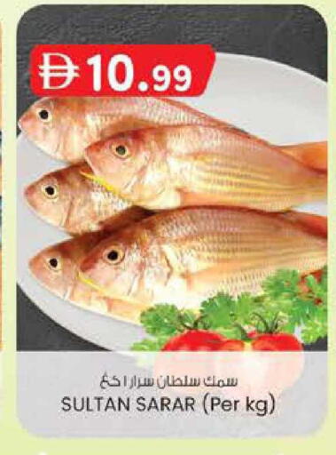 available at ك. الم. للتجارة in الإمارات العربية المتحدة , الامارات - أبو ظبي