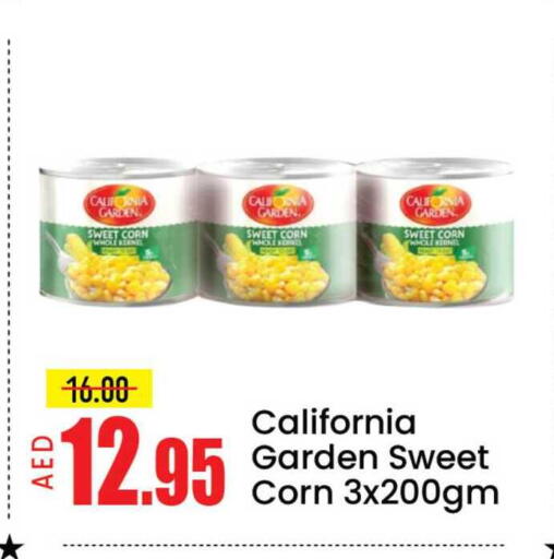 Mango available at مانجو هايبرماركت in الإمارات العربية المتحدة , الامارات - دبي